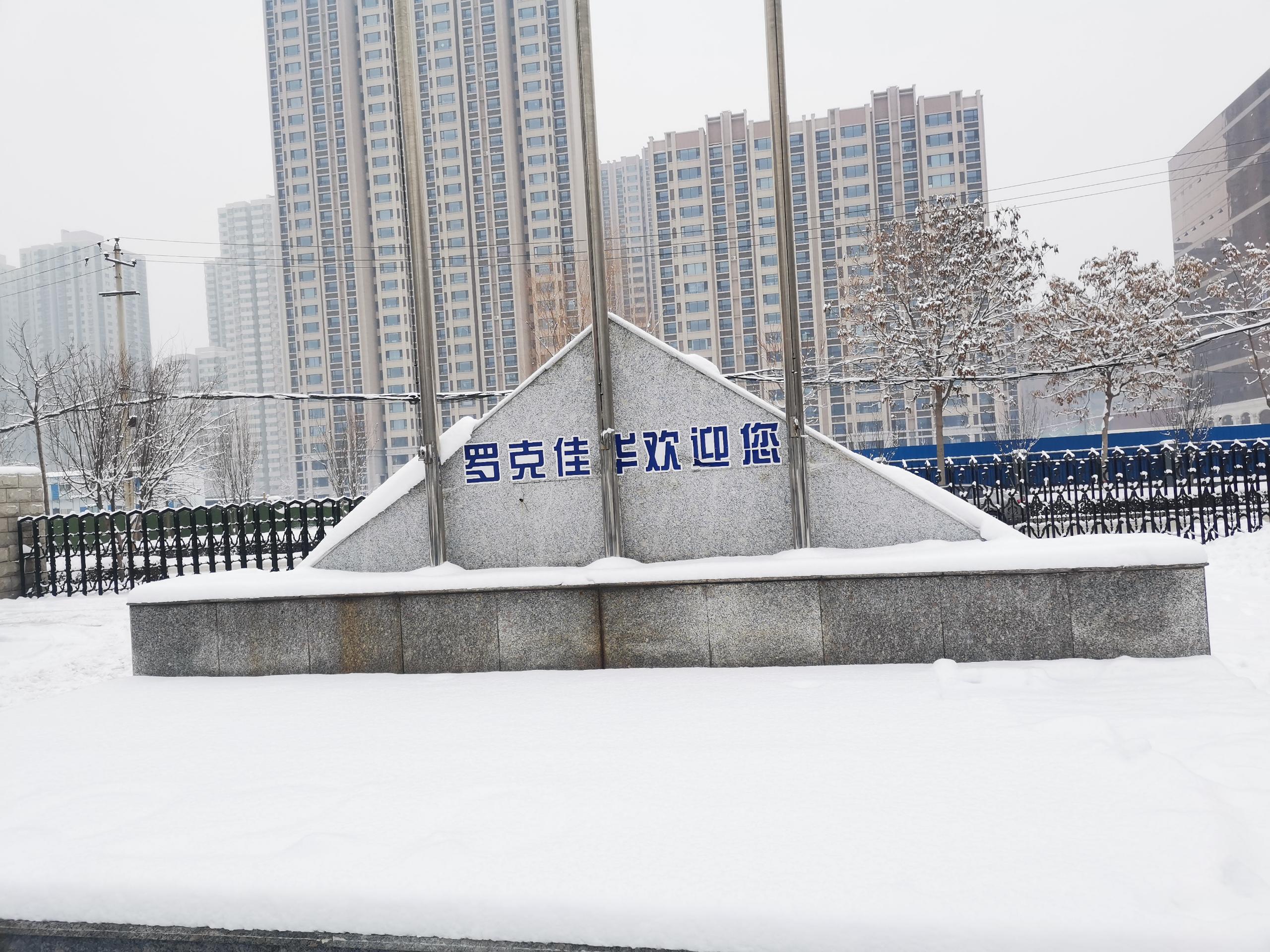 又是一年大雪至，早起迎暖至心间1