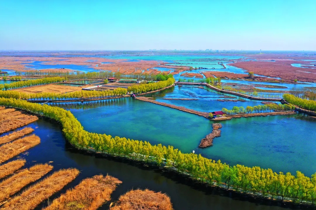 构建现代环境治理体系 为建设美丽中国提供有力制度保障1 构建现代环境治理体系 为建设美丽中国提供有力制度保障1