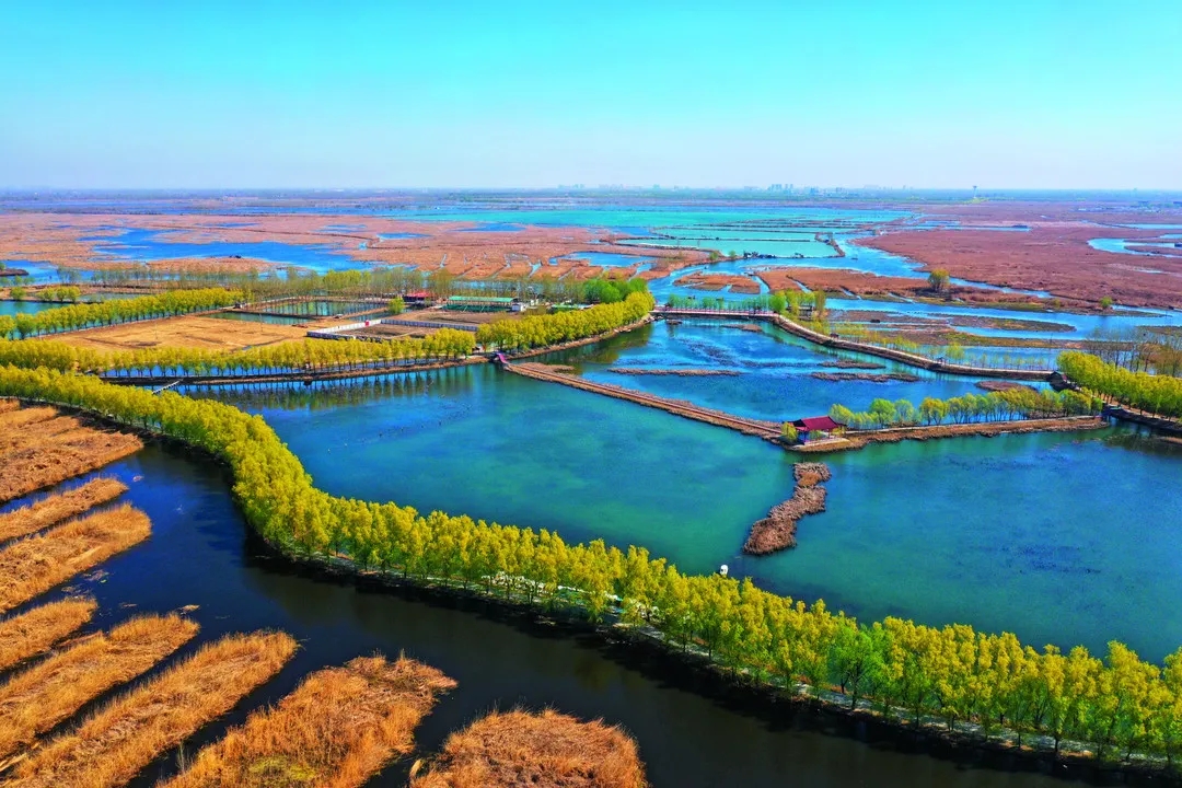 构建现代环境治理体系 为建设美丽中国提供有力制度保障1